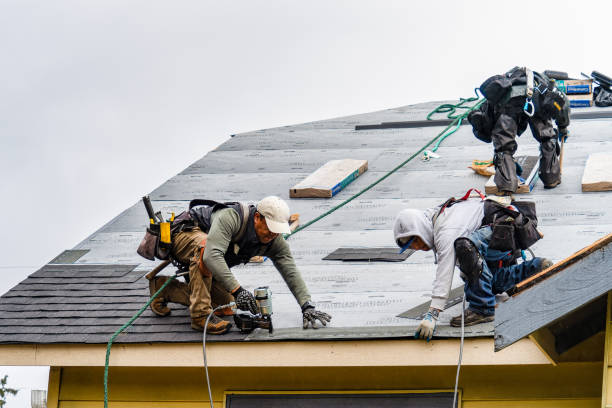 Professional Roofing technician working in Woodville, WI